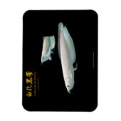 Magnet Flexible platinum Black Arowana (Vertical)