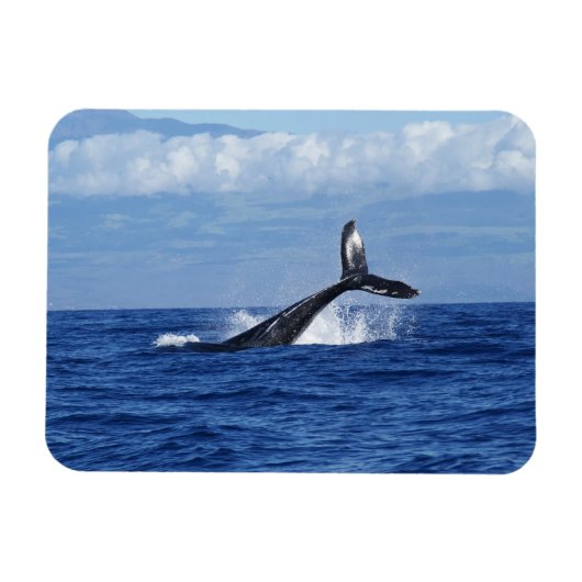 Magnet Flexible Plongée baleine en Océan, Fluke, Sortir de l'eau (Horizontal)