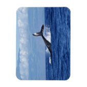 Magnet Flexible Plongée baleine en Océan, Fluke, Sortir de l'eau (Vertical)