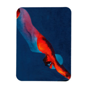 Magnet Flexible Plongeur 2011