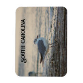 Magnet Flexible Plover sur la plage (Vertical)