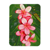 Magnet Flexible Plumerias (Vertical)