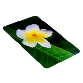 Magnet Flexible Plumerias (Côté Droit)