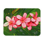Magnet Flexible Plumerias (Horizontal)