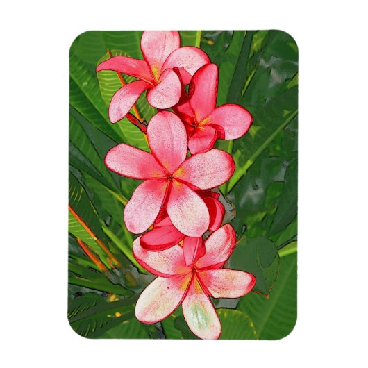 Magnet Flexible Plumerias (Vertical)