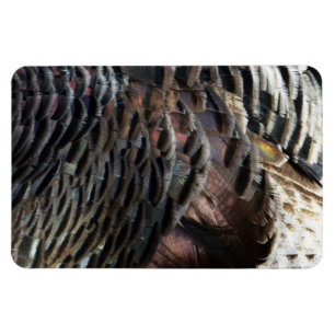 Magnet Flexible Plumes de Dindon Sauvage I Design de Nature Abstra