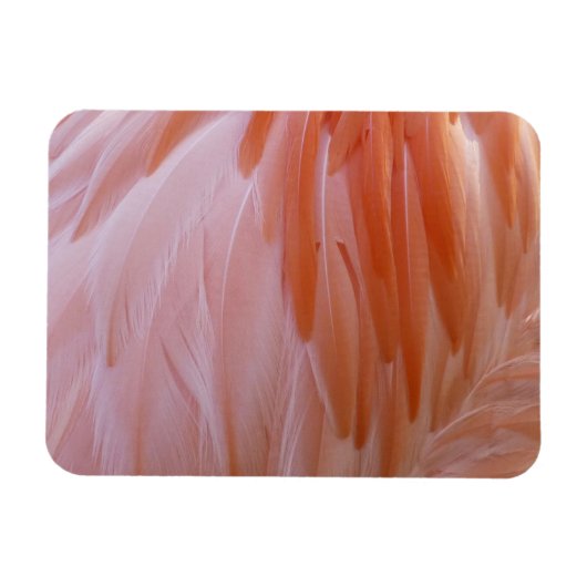 Magnet Flexible Plumes de Flamant rose dans les tons roses (Horizontal)