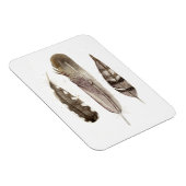 Magnet Flexible Plumes de ton II (Côté Droit)