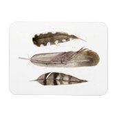 Magnet Flexible Plumes de ton II (Horizontal)