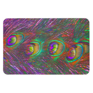 Magnet Flexible Plumes Peacock Tinsel de Noël