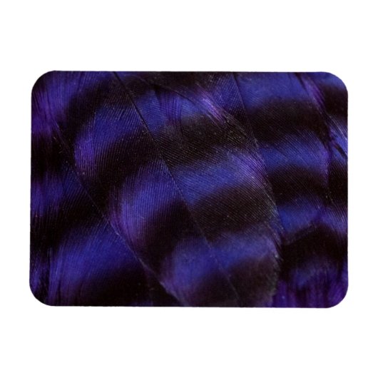 Magnet Flexible Plumes violettes et noires (Horizontal)