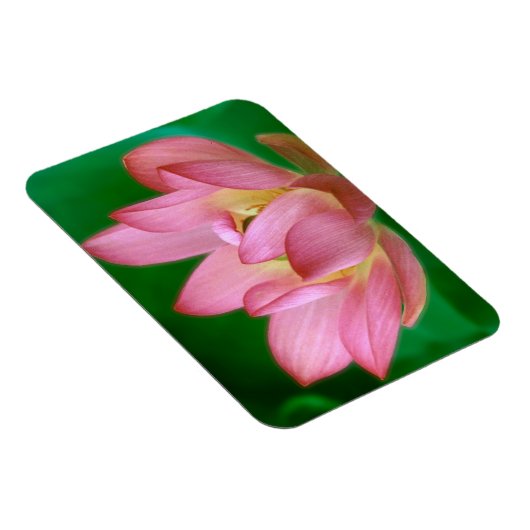 Magnet Flexible Plus qu'un aimant de rêve (Côté Droit)