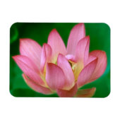 Magnet Flexible Plus qu'un aimant de rêve (Horizontal)