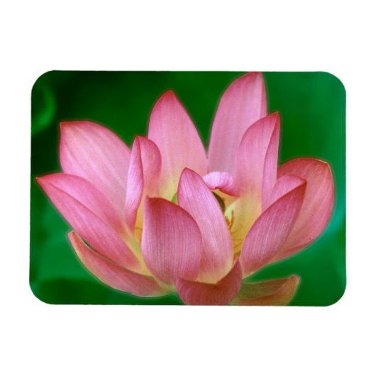 Magnet Flexible Plus qu'un aimant de rêve (Horizontal)