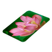 Magnet Flexible Plus qu'un aimant de rêve (Côté Gauche)