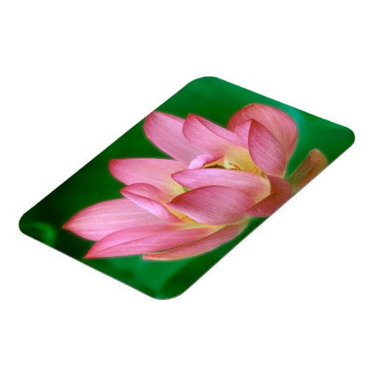 Magnet Flexible Plus qu'un aimant de rêve (Côté Gauche)