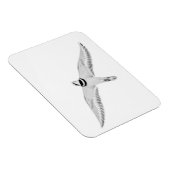 Magnet Flexible Pluvier kildir en vol (Côté Droit)