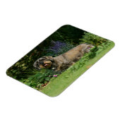 Magnet Flexible Poil à fil standard Dachshund assis (Côté Gauche)