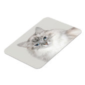 Magnet Flexible Point bleu Chat himalayen (Côté Gauche)