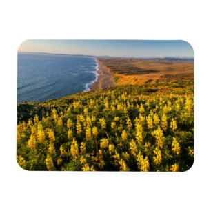 Magnet Flexible Point Reyes National Seashore California