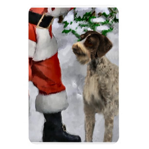 Magnet Flexible Pointeur À poils durs allemand avec Père Noël Chri