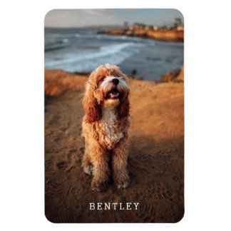 Magnet Flexible Pointeur photo simple et moderne| Blanc