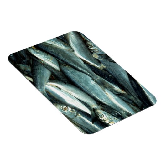 Magnet Flexible Poisson (Côté Droit)