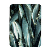 Magnet Flexible Poisson (Vertical)