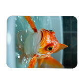 Magnet Flexible Poisson amusant dans le bain (Horizontal)