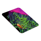 Magnet Flexible Poisson Anémonique Caché En Anémone, Mozambique 2 (Côté Droit)