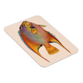 Magnet Flexible poisson-ange (Côté Droit)