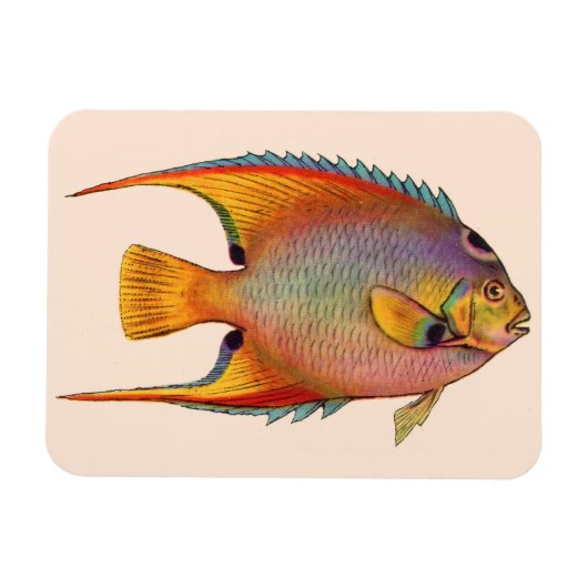 Magnet Flexible poisson-ange (Horizontal)