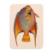 Magnet Flexible poisson-ange (Vertical)