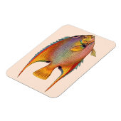 Magnet Flexible poisson-ange (Côté Gauche)