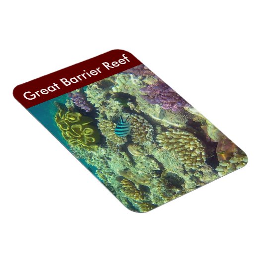 Magnet Flexible poisson barrière (Côté Droit)