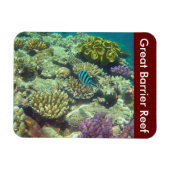 Magnet Flexible poisson barrière (Horizontal)