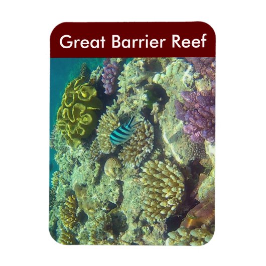 Magnet Flexible poisson barrière (Vertical)