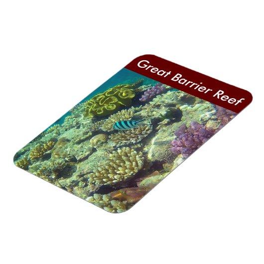 Magnet Flexible poisson barrière (Côté Gauche)