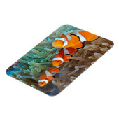 Magnet Flexible Poisson clown (Côté Gauche)