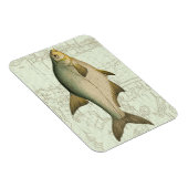 Magnet Flexible Poisson d'eau douce sur la carte (Côté Droit)