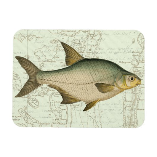 Magnet Flexible Poisson d'eau douce sur la carte (Horizontal)