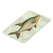 Magnet Flexible Poisson d'eau douce sur la carte (Côté Gauche)