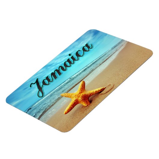 Magnet Flexible Poisson étoilé (Côté Gauche)