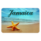 Magnet Flexible Poisson étoilé (Horizontal)