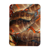 Magnet Flexible Poisson frais (Vertical)