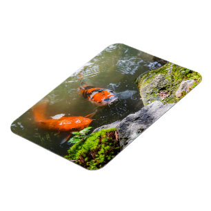 Magnet Flexible Poisson Koi dans un étang