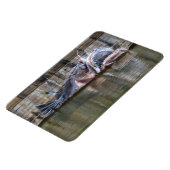 Magnet Flexible Poisson-pêcheur (Côté Gauche)