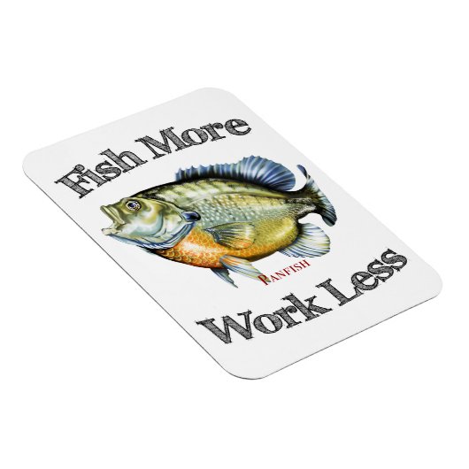 Magnet Flexible Poisson Plus Poisson-Poisson Moins (Côté Droit)