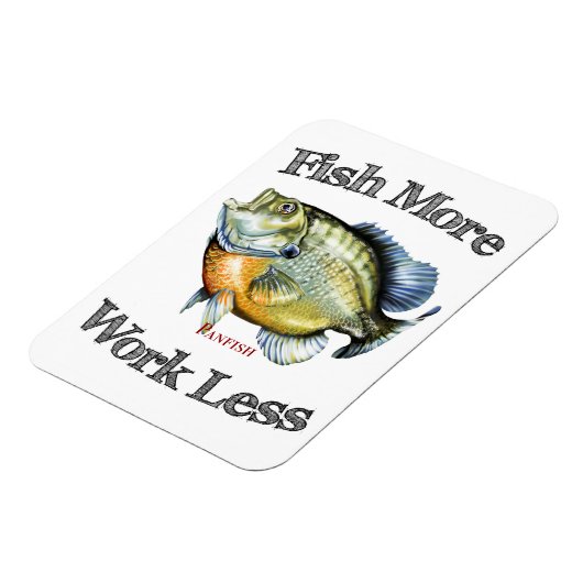 Magnet Flexible Poisson Plus Poisson-Poisson Moins (Côté Gauche)