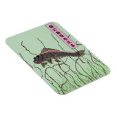 Magnet Flexible Poisson Pour Un Chat (Côté Droit)